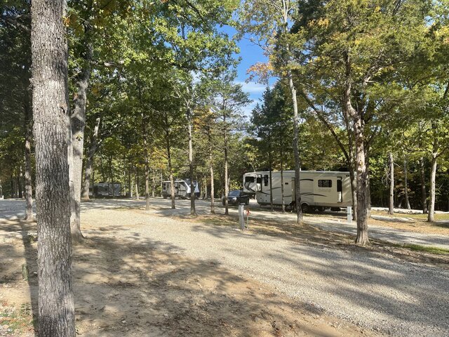 Image 1 for Treed Standard Pull-Thru RV Sites