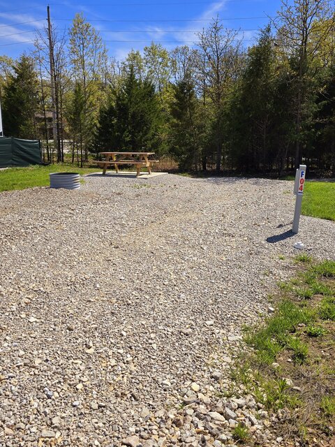 Image 1 for Treed Back-In Standard Sites