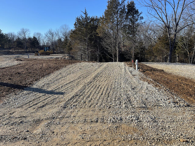 Image 2 for Treed Back-In Standard Sites