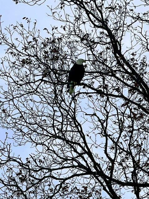 Image 3 for Economy RV Campsites