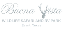 Buena Vista Wildlife Safari and RV Park