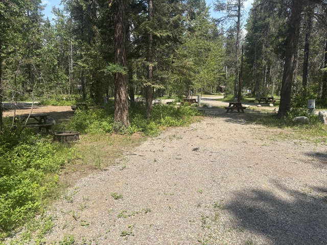 Image 2 for Campsite U