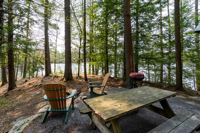 Image 9 for Pine