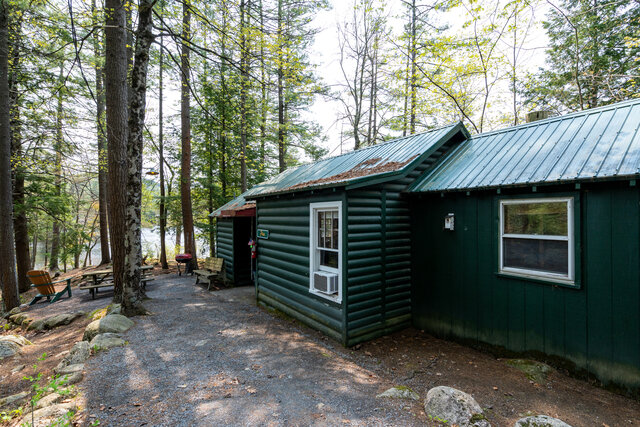 Image 1 for Pine