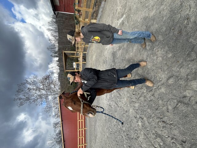 Image 1 for Horseback Riding Lesson