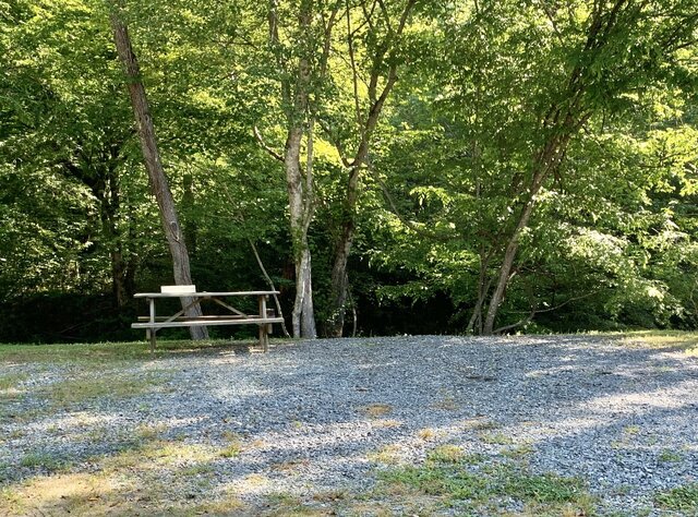 Image 4 for Back-in River front RV Site