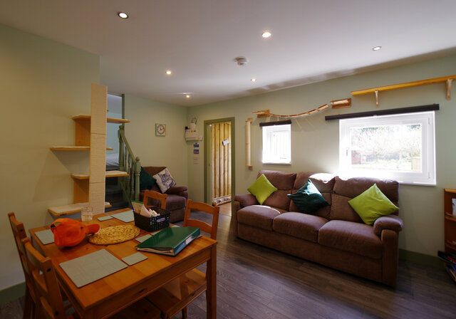 Image 2 for The Cat Cabin