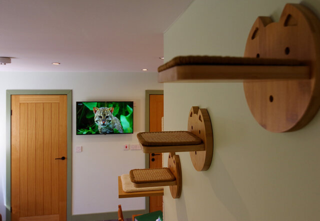 Image 8 for The Cat Cabin