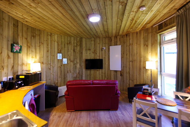 Image 2 for The Treehouse