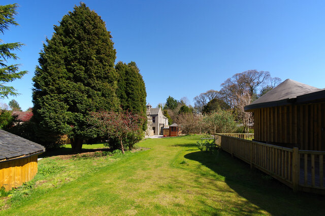 Image 19 for The Treehouse