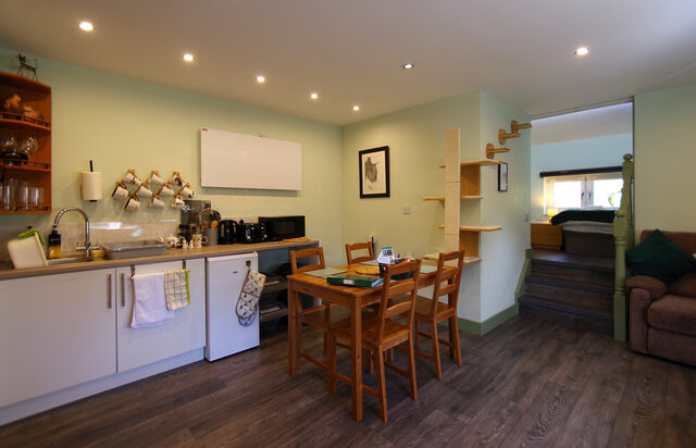 Image 3 for The Cat Cabin