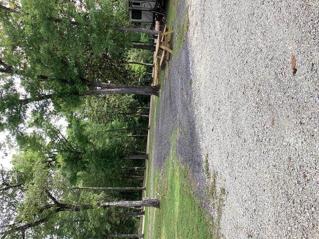 Image 2 for 18) RV Site 18