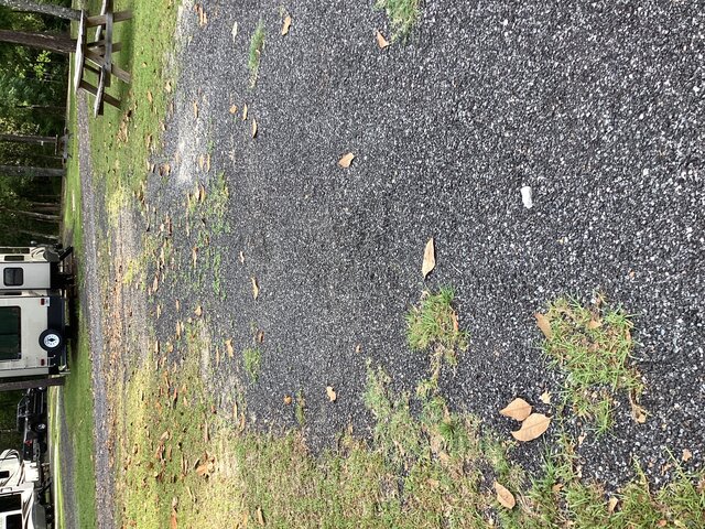 Image 1 for 15) RV Site 15