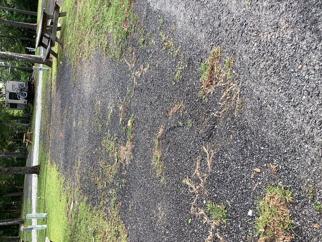 Image 1 for 24) RV Site 24