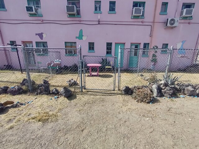 Image 6 for Pink Pelican #2