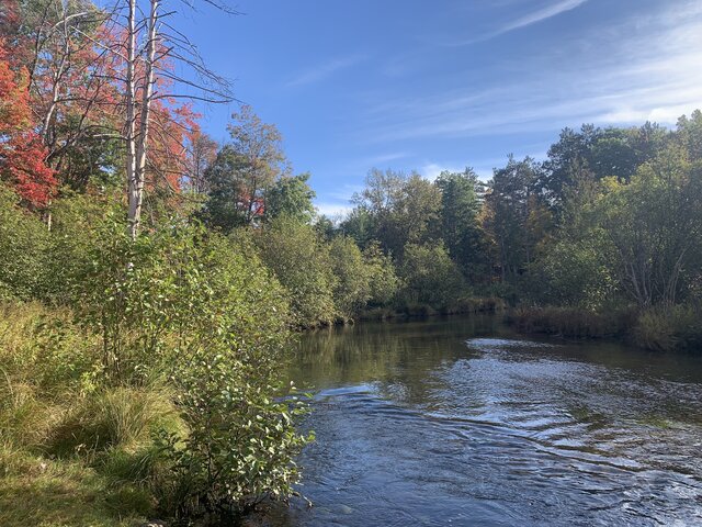 Image 2 for River House