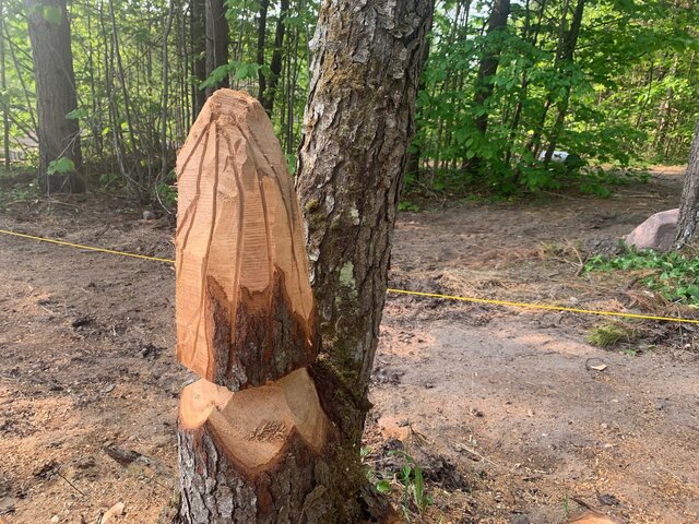 Image 22 for Nature Lover's Cabin