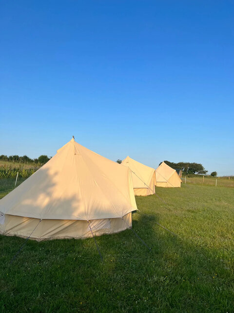 Image 5 for Bettie 4M Empty Bell Tent