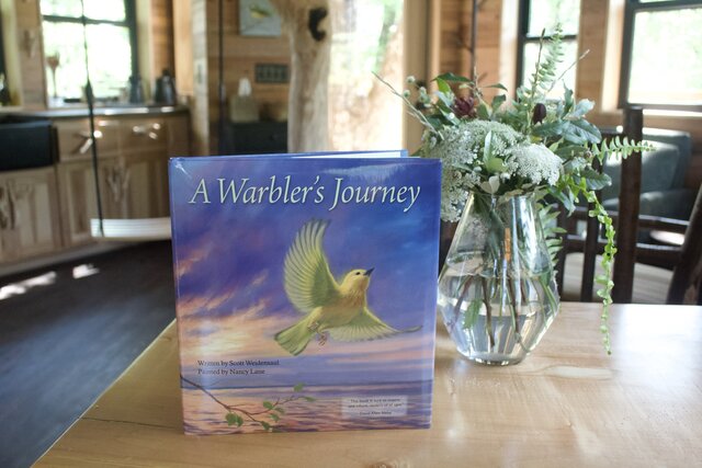 Image 19 for Warbler Treehouse