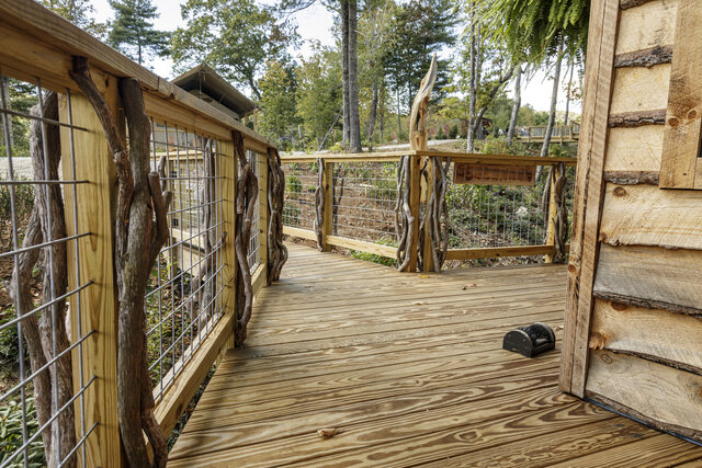 Image 18 for Warbler Treehouse