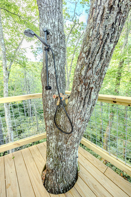 Image 15 for Warbler Treehouse