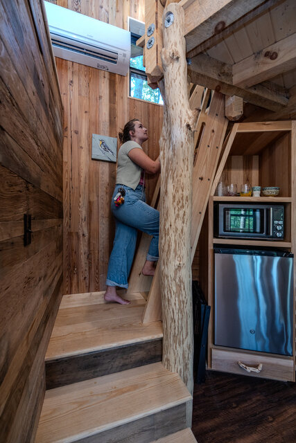 Image 7 for Warbler Treehouse