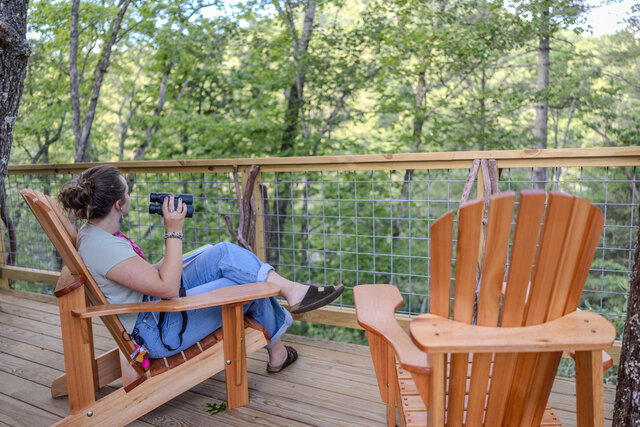 Image 23 for Warbler Treehouse