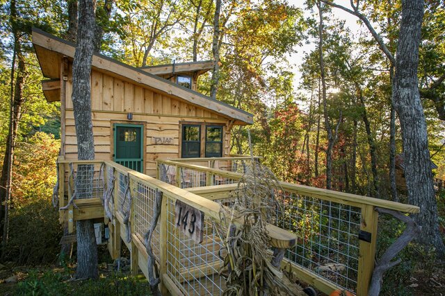 Image 2 for Tajar Treehouse