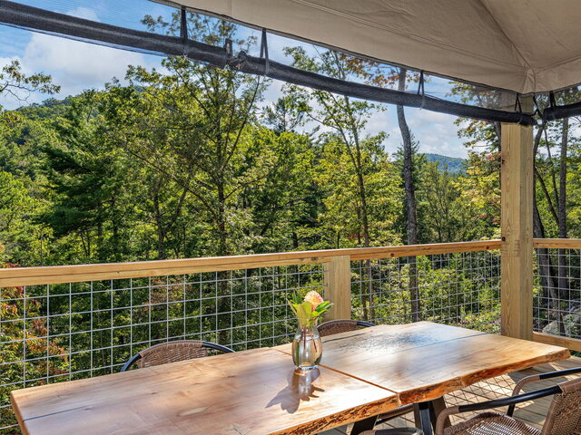 Image 18 for Blackberry Double Tree Tent