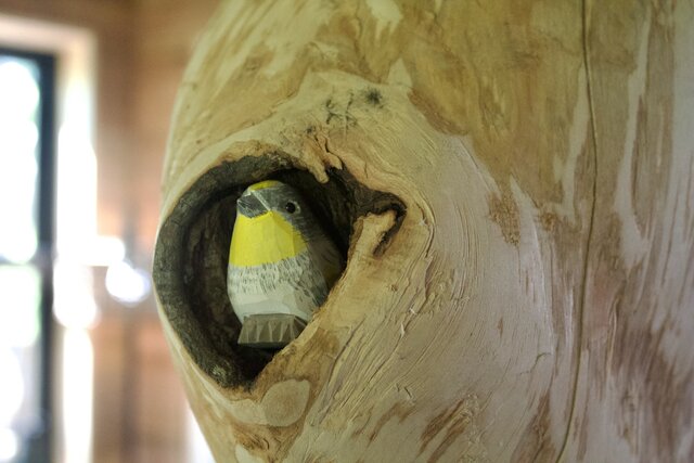 Image 20 for Warbler Treehouse