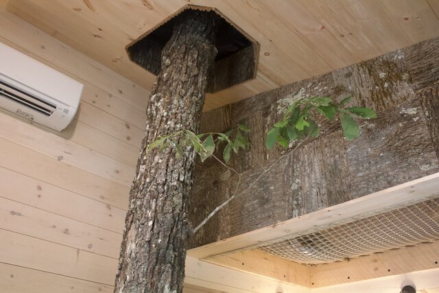 Image 5 for Tajar Treehouse