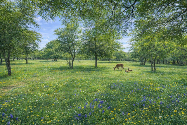 Image 9 for Cabin #7 King‑Bed Cabin Relaxing Hill Country Vibe