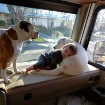 accommodations-of-the-year-als-hideaway-pet-kid-friendly