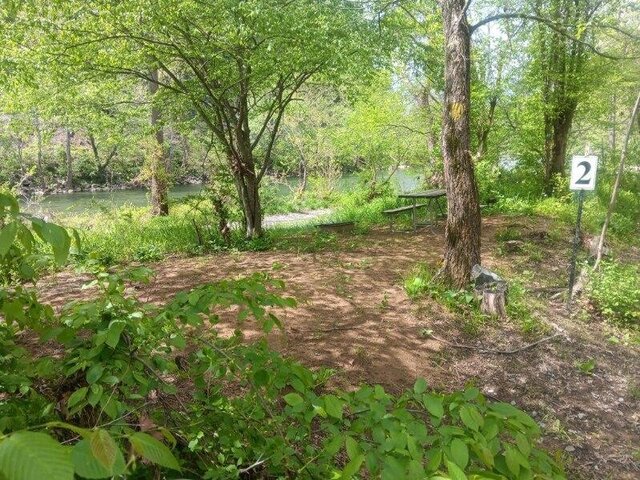 Image 1 for Tent Site 2 - PopUp Friendly - 12ft x 12ft