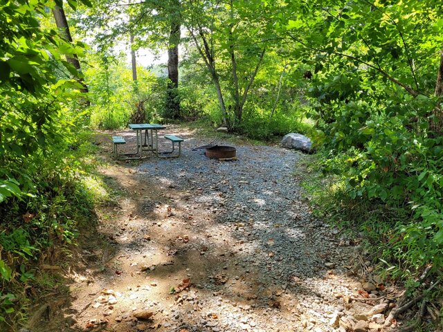 Image 2 for Tent Site 4 - primitive site - 8ft x 10ft