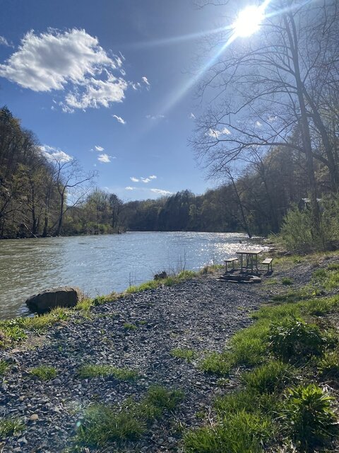 Image 2 for Tent Site 1 - riverside - 10ft x 10ft