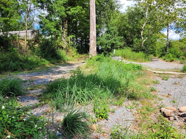 Image 5 for Tent Site 1 - riverside - 10ft x 10ft