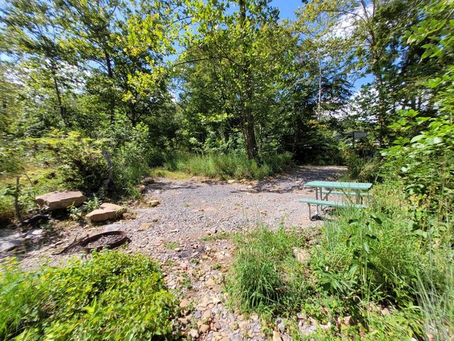 Image 2 for Tent Site 5 - riverside - drive on - 10ft x 10ft