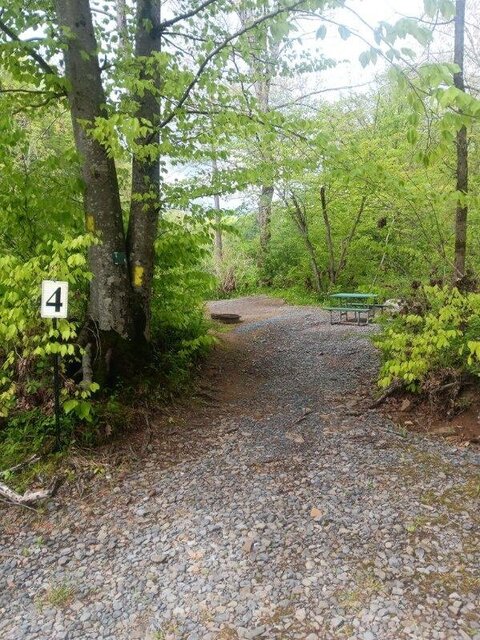 Image 3 for Tent Site 4 - primitive site - 8ft x 10ft