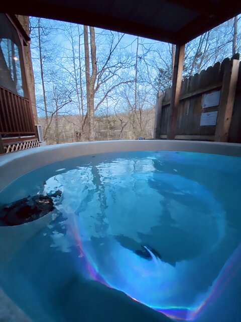 Image 12 for 1 Bedroom Cabin (Cabin C3)