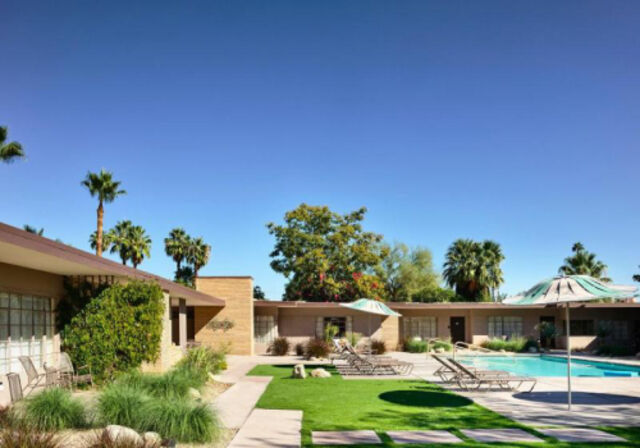 Image 4 for Desert Queen