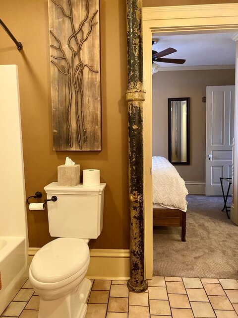 Image 12 for Birch Bark