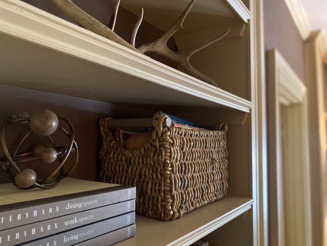 Image 8 for Birch Bark