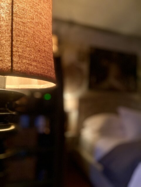 Image 1 for Pine Cone