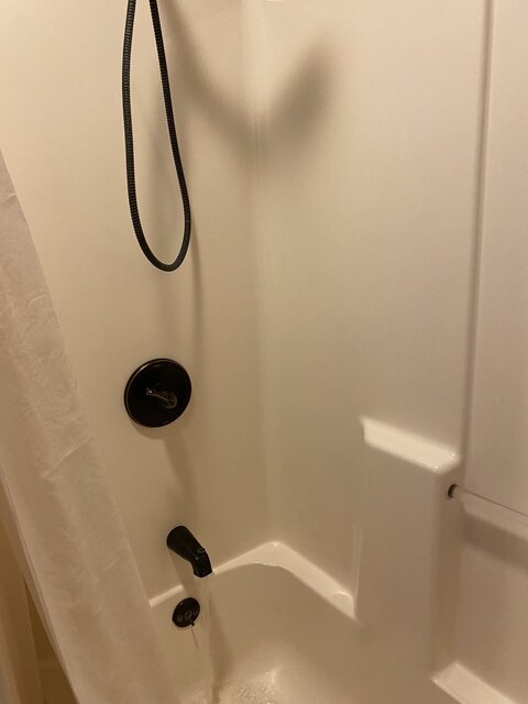 Image 16 for Birch Bark