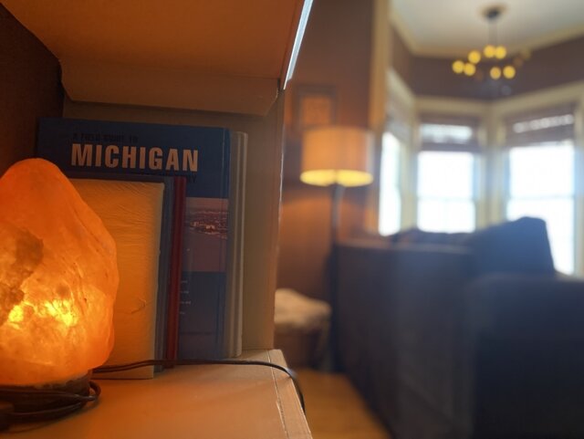 Image 6 for Birch Bark