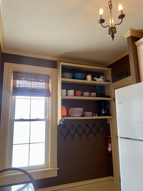 Image 23 for Birch Bark