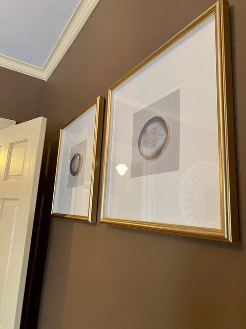 Image 25 for Birch Bark