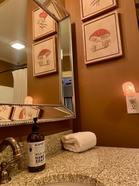 Image 13 for Birch Bark