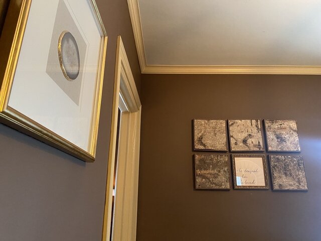 Image 11 for Birch Bark